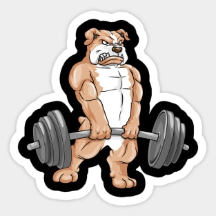 Bulldog at bodybuilding with barbell Sticker